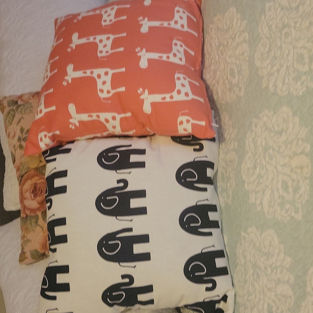 2 Pillow covers